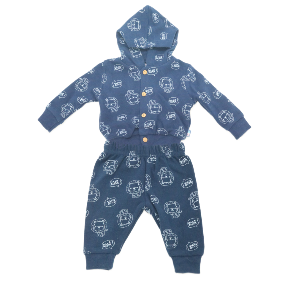 Hooded Sweatshirt and Pants Set(3 pieces)