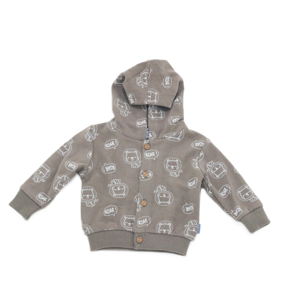 Hooded Sweatshirt and Pants Set(3 pieces)