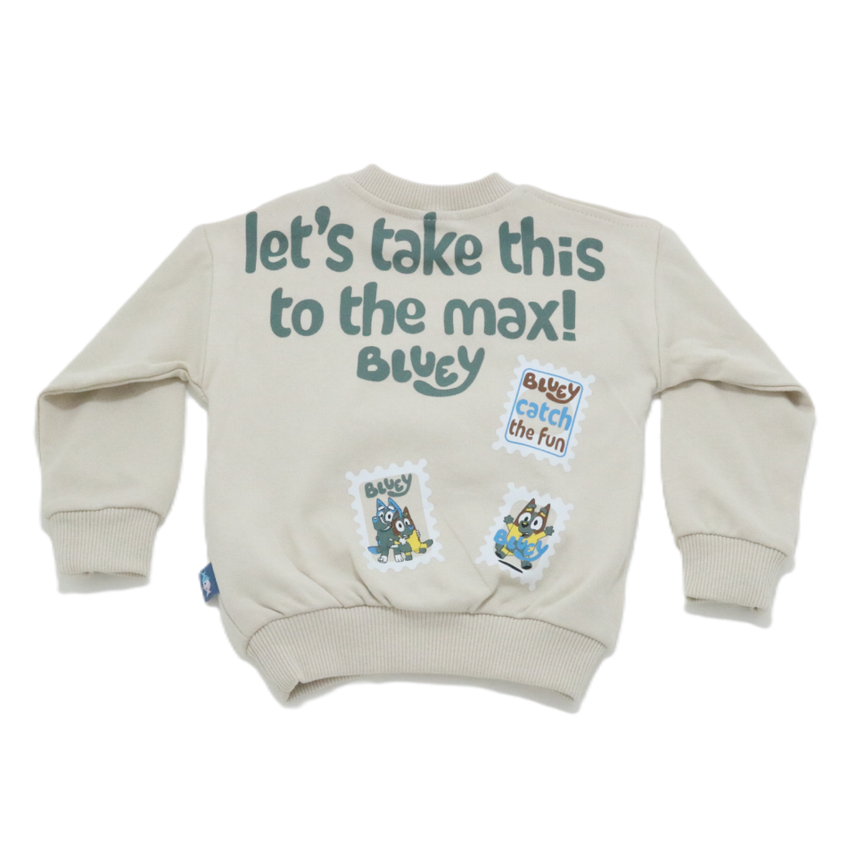 Baby Sweatshirt and Pants Set