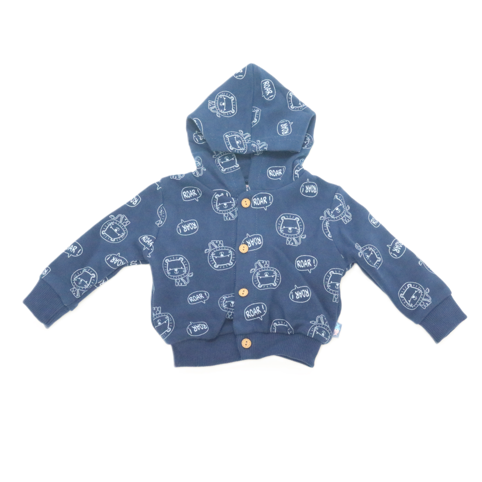 Hooded Sweatshirt and Pants Set(3 pieces)